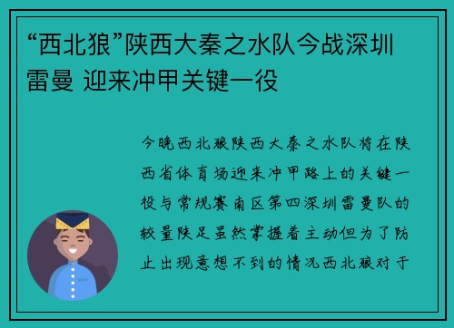 “西北狼”陕西大秦之水队今战深圳雷曼 迎来冲甲关键一役